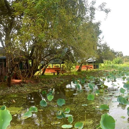 Meegahapokuna Resort 아누라다푸라 외부 사진