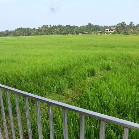 Meegahapokuna Resort 아누라다푸라 외부 사진