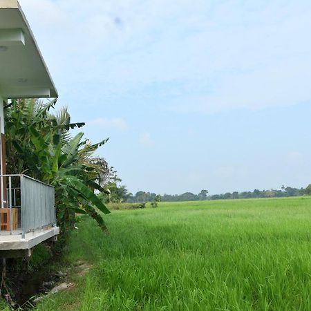 Meegahapokuna Resort 아누라다푸라 외부 사진