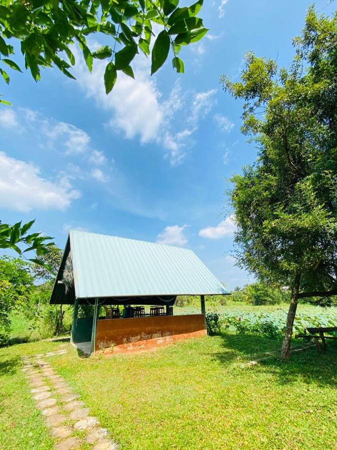 Meegahapokuna Resort 아누라다푸라 외부 사진