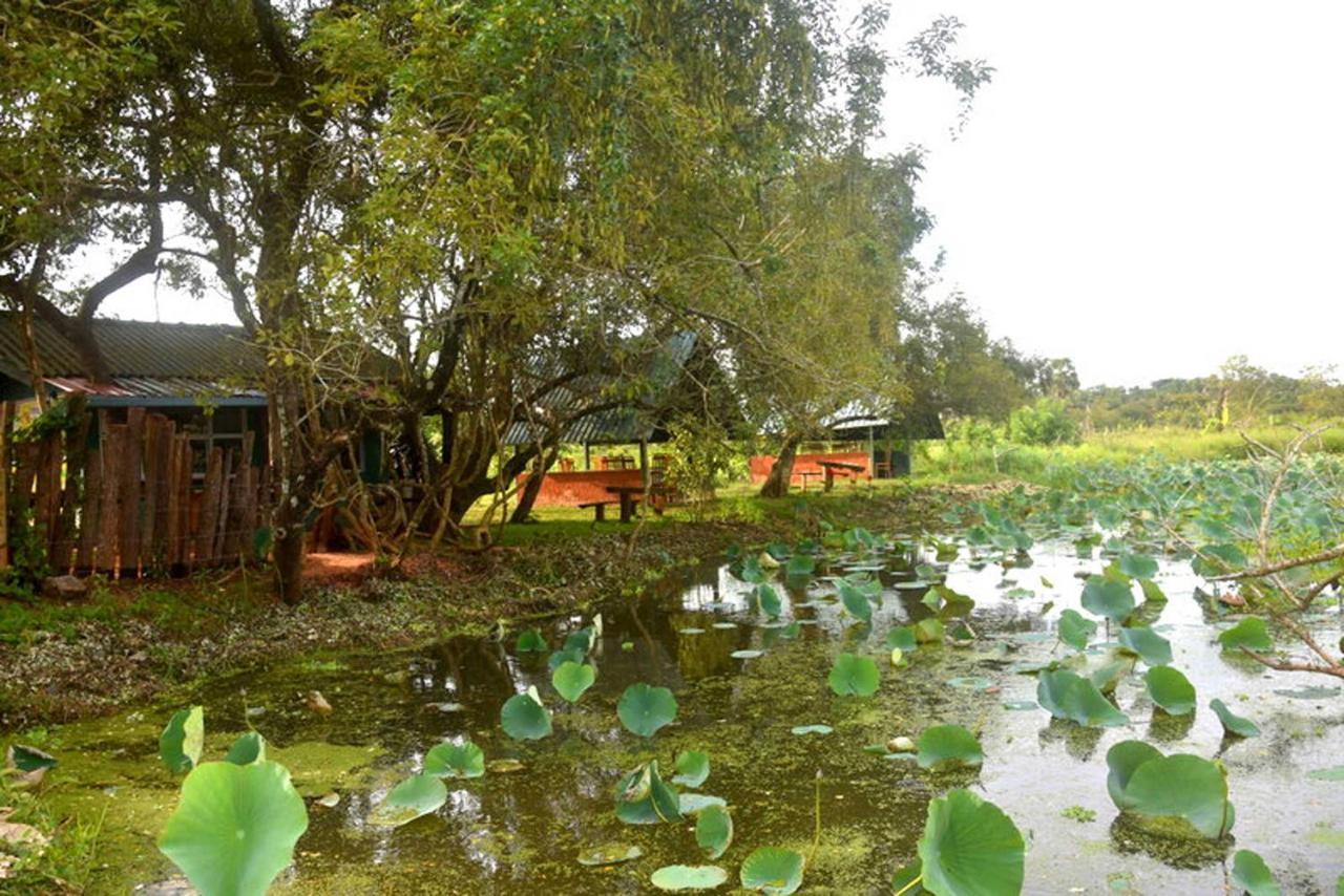Meegahapokuna Resort 아누라다푸라 외부 사진