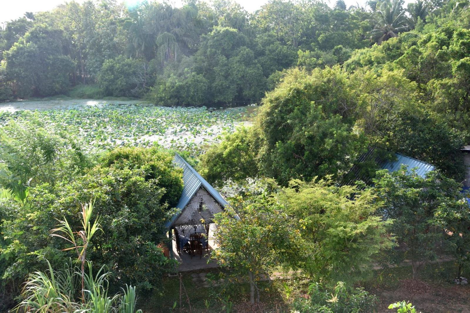 Meegahapokuna Resort 아누라다푸라 외부 사진