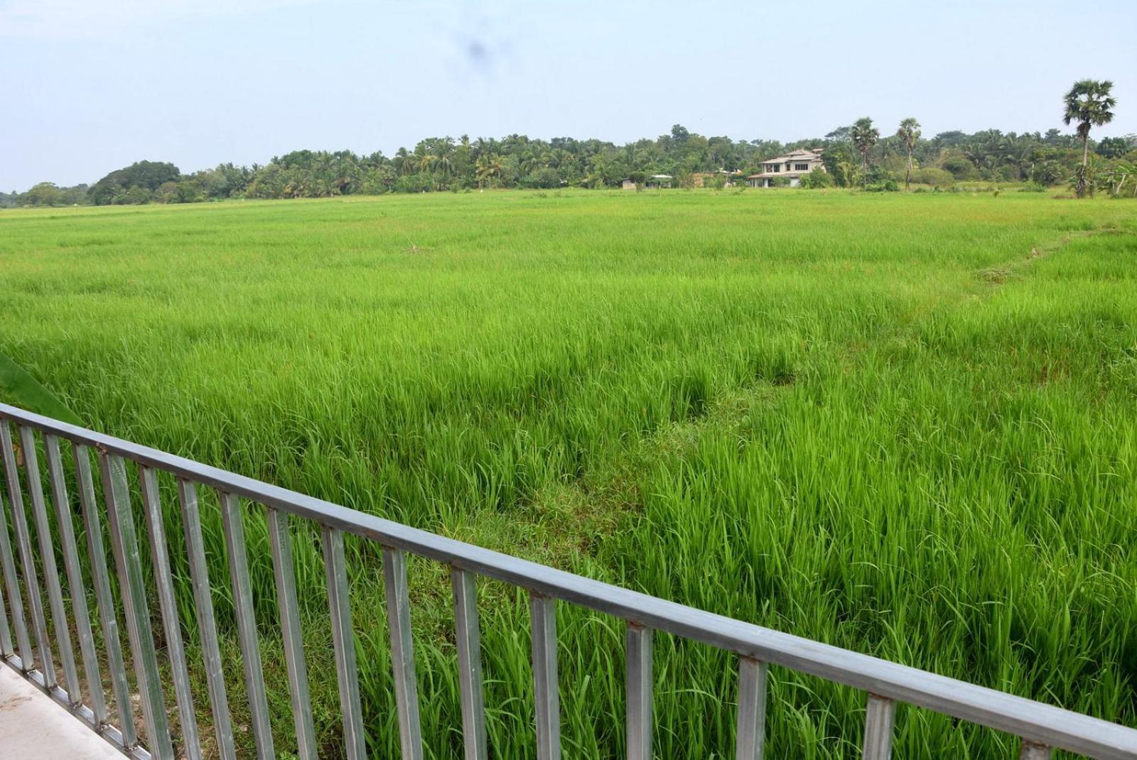 Meegahapokuna Resort 아누라다푸라 외부 사진